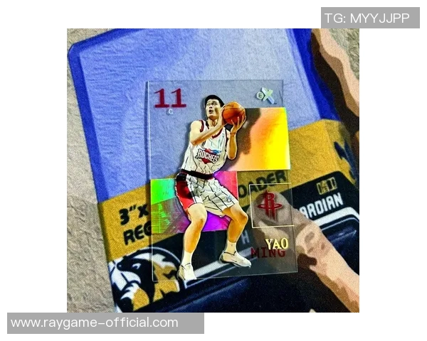 姚明新秀赛季精彩表现回顾及比分分析